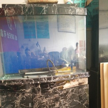 鋼琴與魚缸快運